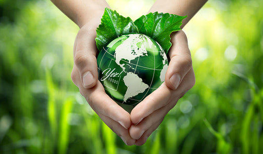 Yez! Foods Goes Green